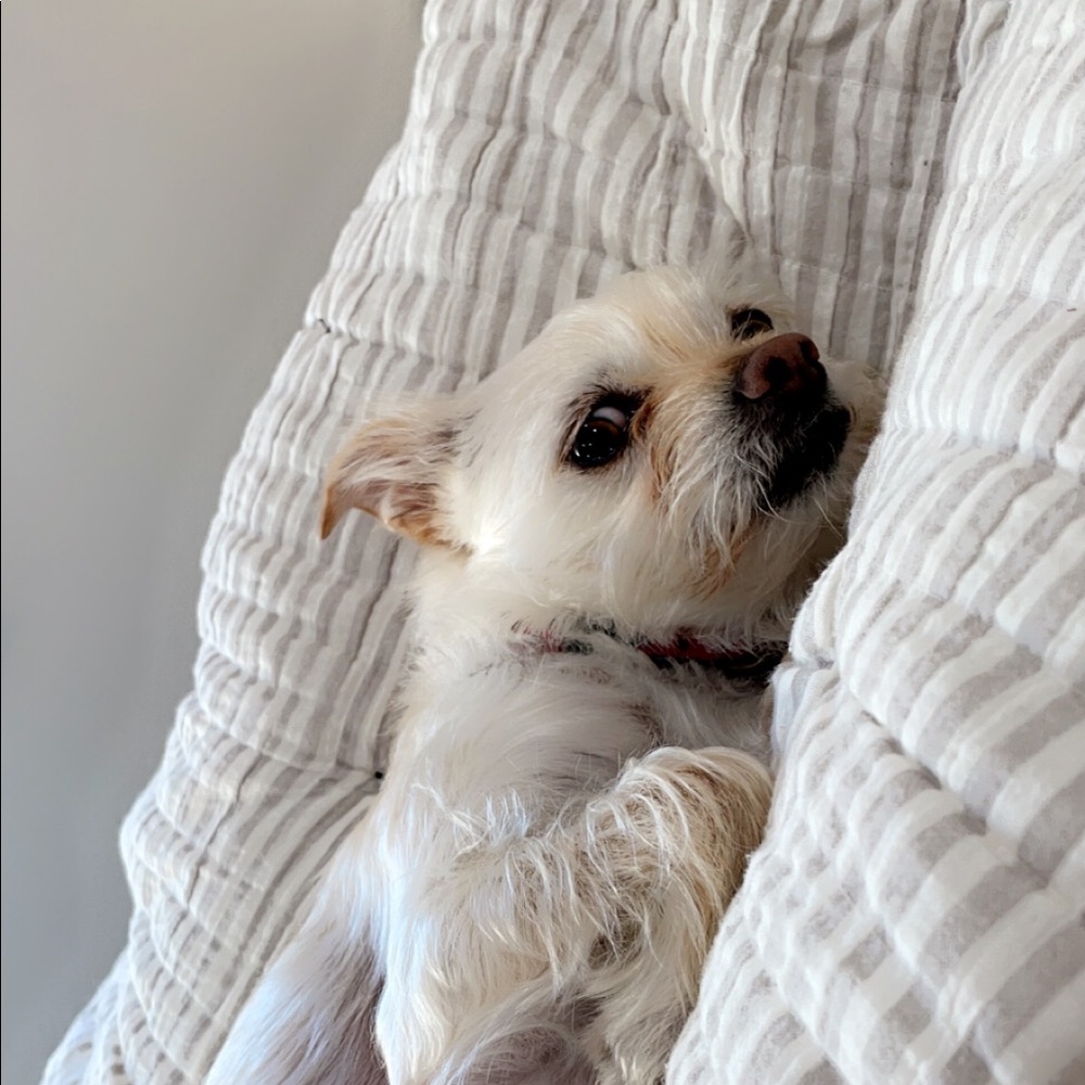 Meet your Posher, Kallista